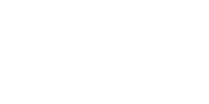 Avilys Logo 300x150 Pixels Branco